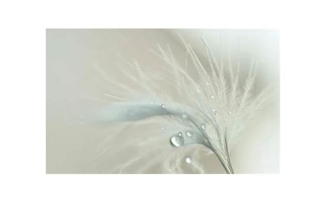 如何对女生说今天我想你了的话，怎么对一个女人说我想你了