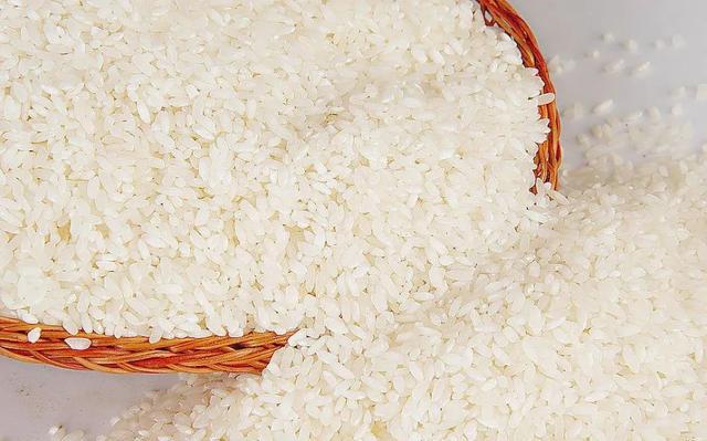 粳米怎么读（粳米发音是什么）