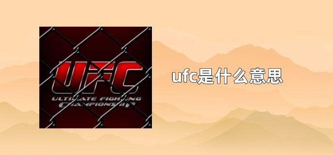 ufc是什么意思啊