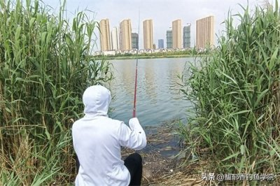 ​钓鲫鱼的调漂技巧，学会以后终生受用