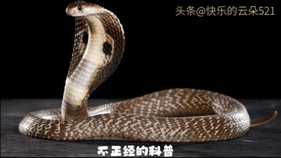 ​陪床保姆背后不为人知的秘密