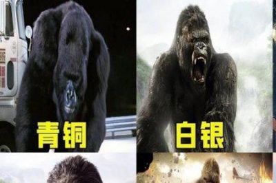 ​金刚是猩猩吗