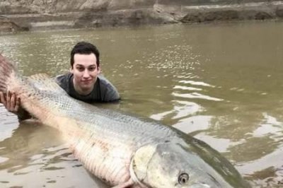 ​福鳄和鳄雀鳝的区别