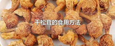 ​干松茸的食用方法窍门 干松茸的食用方法和用量