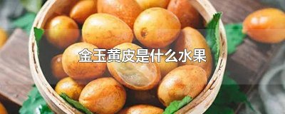 ​金玉黄皮是什么水果 金玉黄皮是什么水果图片