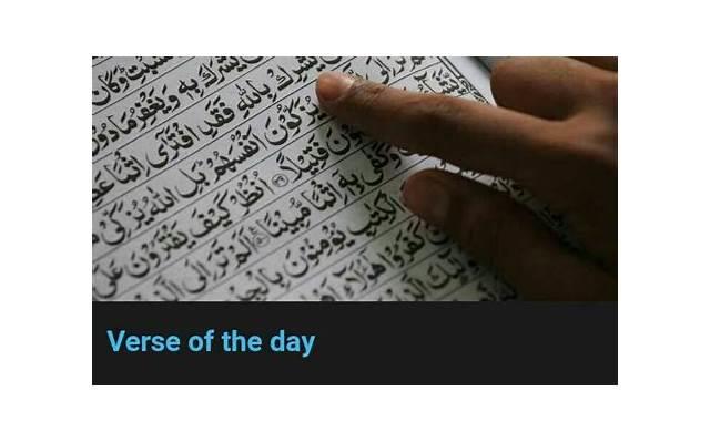 五十多岁的男人再婚好吗（离婚男人50岁再婚该不该再和对方生个孩子）