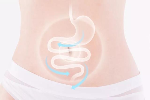 益生元是什么呢（1分钟教你了解益生元）(4)