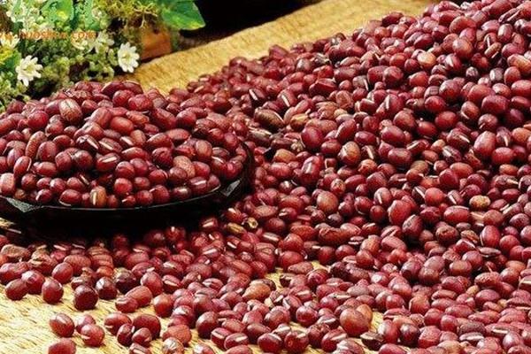 红豆为什么煮不烂 红豆的作用