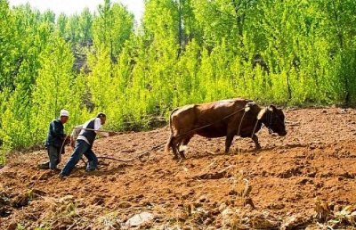 ​改革开放四十年前、后对比，家乡巨变展新颜