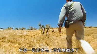 ​史上贝爷最怂的一集荒野求生，被各种动物盯上还被迫吃粑粑