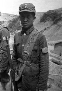 ​八路军与新四军，看他们的区别