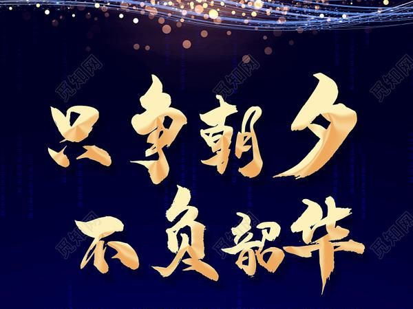 不负韶华是什么意思