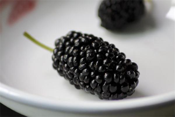 坐月子可以吃桑葚吗 坐月子吃桑葚的好处