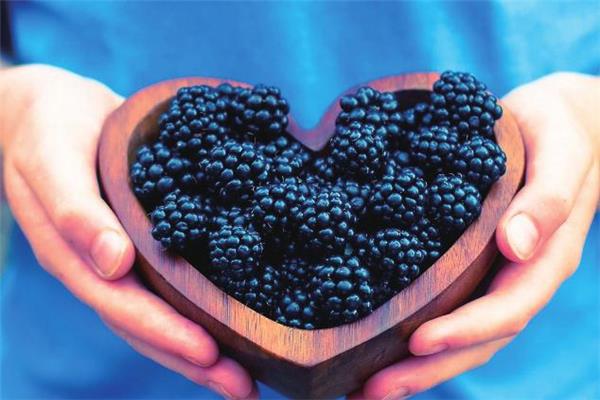 坐月子可以吃桑葚吗 坐月子吃桑葚的好处