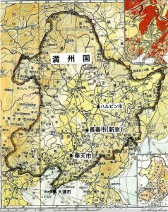 ​溥仪不能生育真实原因（溥仪没有生育能力怎么办）