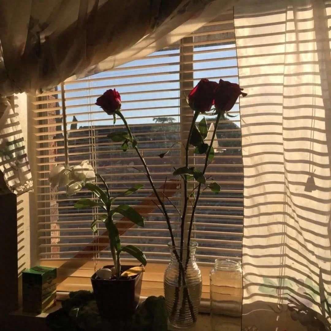 情感图 封面图｜热脸贴冷屁股的事情再也不要去做了