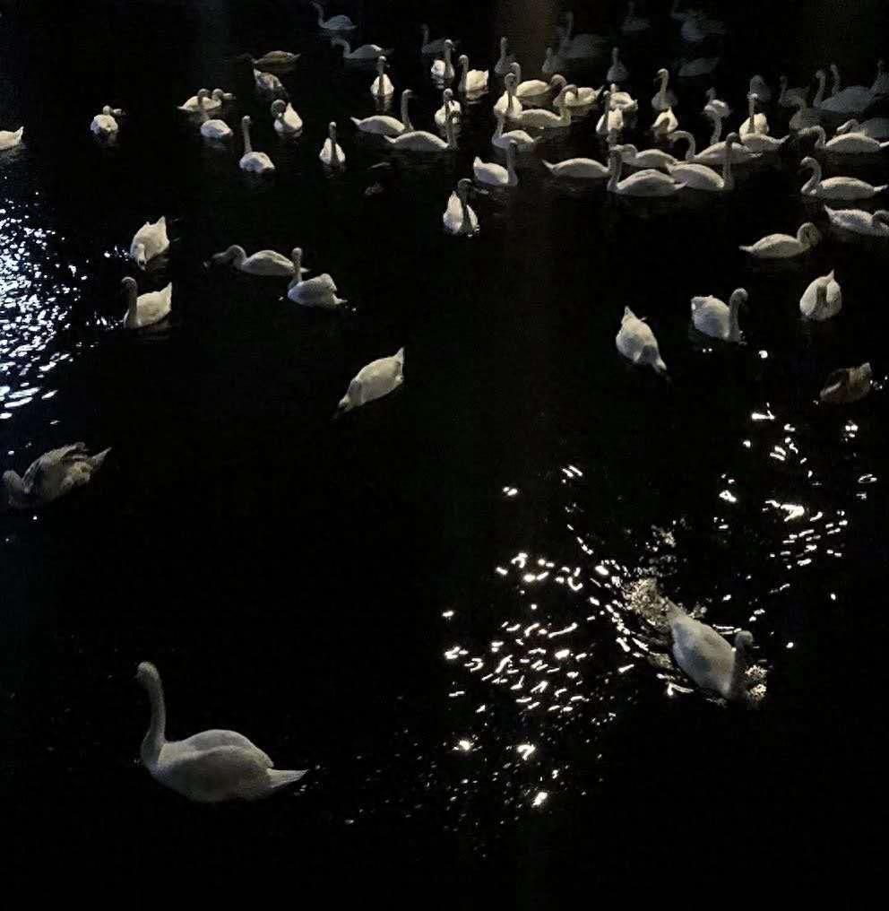 情感图 封面图｜热脸贴冷屁股的事情再也不要去做了