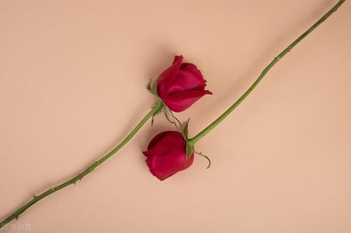 中国的七夕节用英语怎么说(中国26个传统节日英文)-第1张图片-