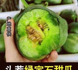 自家种植的甜瓜，是市场上能买到的那种皮是白色瓤是橙黄色的那种我是南通这的，为什么现在都开始结小瓜