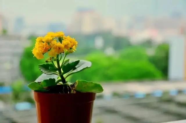 生活很现实的经典句子精辟至极(现实的正能量句子)(6)