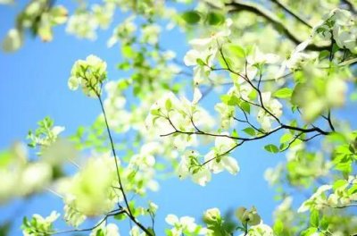 ​生活很现实的经典句子精辟至极（现实的正能量句子）