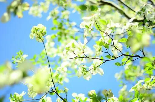 生活很现实的经典句子精辟至极(现实的正能量句子)(1)