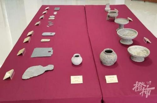 世纪宝贝两全保险条款(世纪宝贝品牌怎么样)-第1张图片-