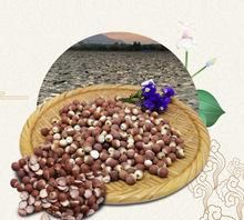 一个字在线观看