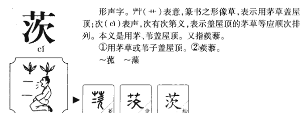 茨实怎么读茨怎么读,一个字在线观看图5