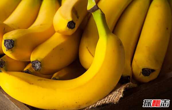 经常跑步人气质不一样?长期坚持跑步的15大益处