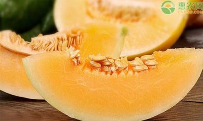 ​香瓜是凉性的吗，香瓜到底是“上火”还是“败火”？百思不得其解啊？