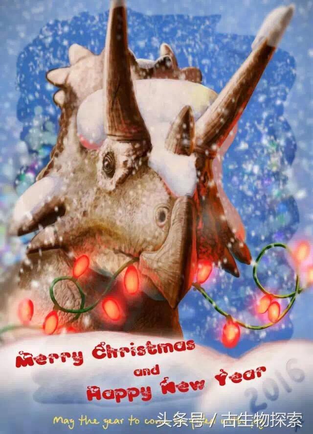 最大的白腹巨鼠:白垩纪大老鼠拥有哺乳类最强咬合力(9)