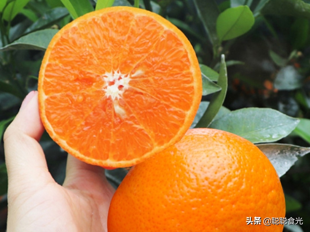 沃柑和茂谷柑哪个好吃（10个种类比较常见的橘子）