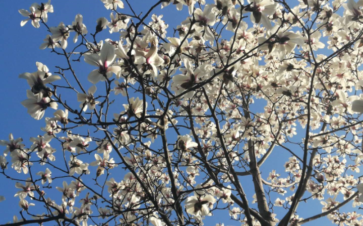 面试官不录用的征兆（详解面试失败的5种表现）