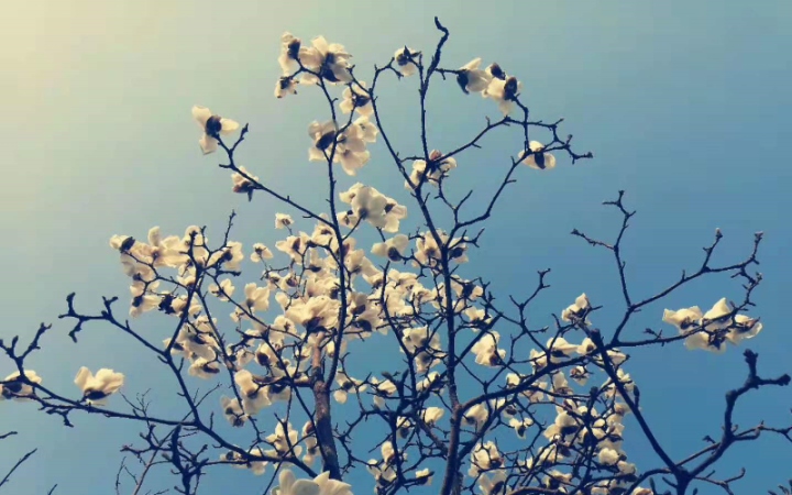 面试官不录用的征兆（详解面试失败的5种表现）