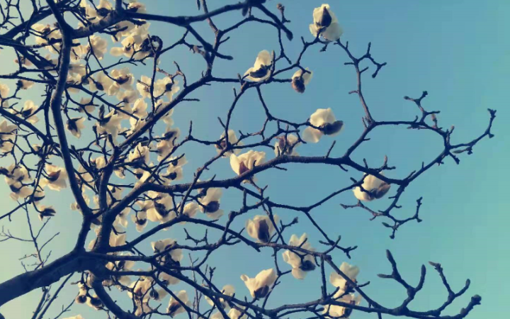 面试官不录用的征兆（详解面试失败的5种表现）