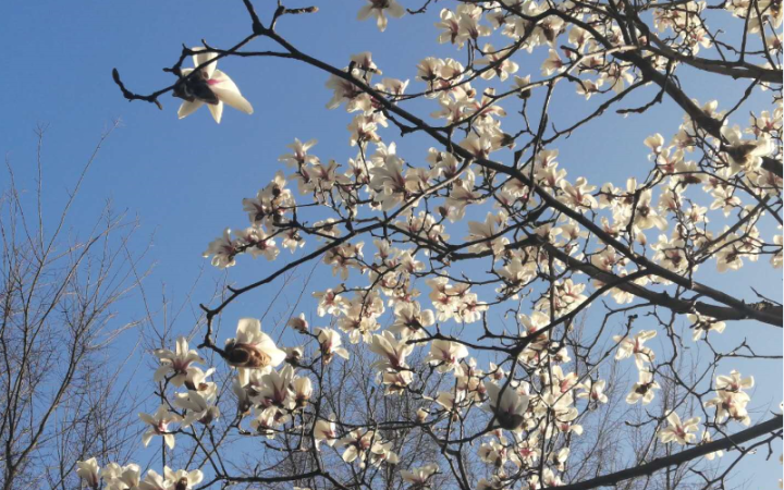 面试官不录用的征兆（详解面试失败的5种表现）