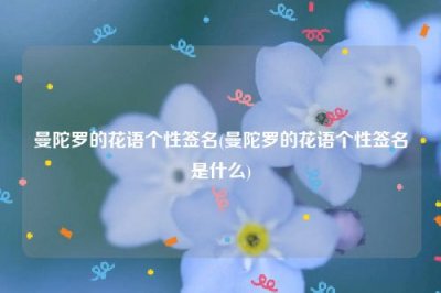 ​曼陀罗的花语个性签名(曼陀罗的花语个性签名是什么)