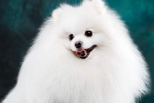 上海哆啦a梦专卖店(上海哆啦A梦快闪店)-第11张图片-