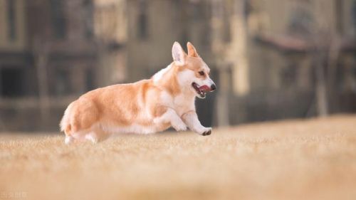 上海哆啦a梦专卖店(上海哆啦A梦快闪店)-第9张图片-