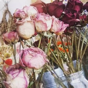 ​玫瑰干花制作方法（手把手教你做玫瑰干花）