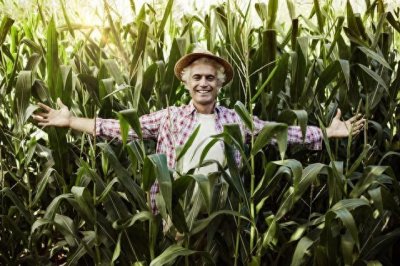 ​苏联农业集体化化