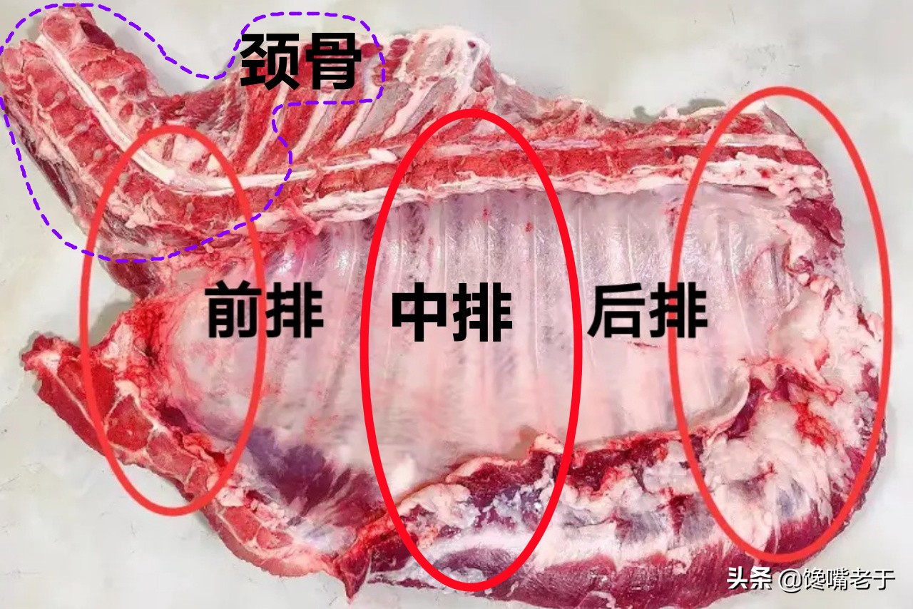 精排和排骨的区别图片（精排和排骨的不同点介绍）