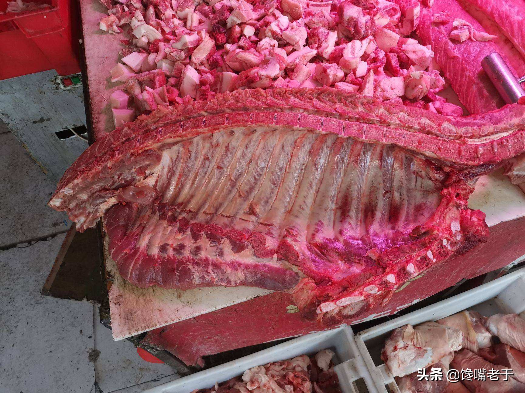 精排和排骨的区别图片（精排和排骨的不同点介绍）