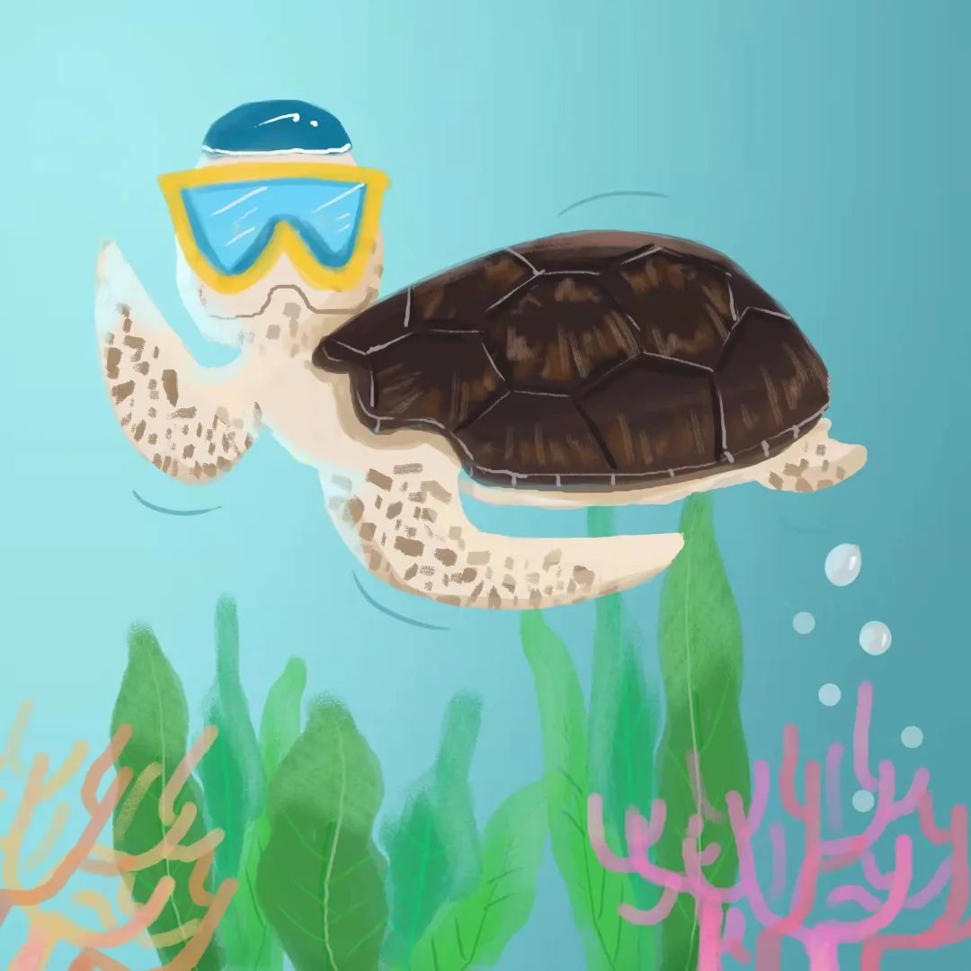 有动物界潜水冠军之称的是（动物界憋气冠军介绍）