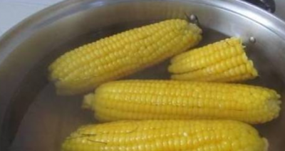 ​玉米煮多久会熟,玉米多久能够煮熟