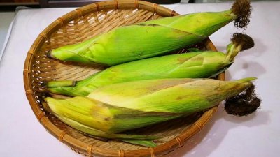 ​如何煮玉米才能又糯又香（煮玉米要牢记5要点）