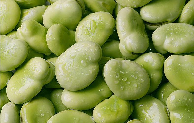 蚕豆的营养价值 蚕豆可以和鸡蛋一起吃吗