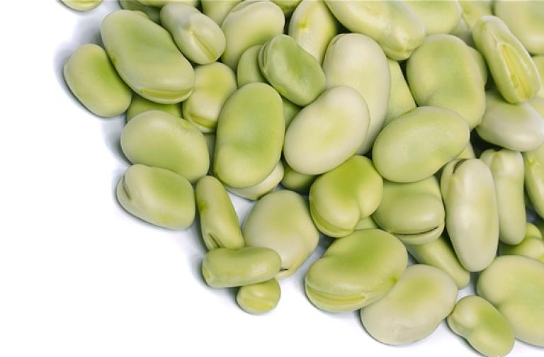 蚕豆的营养价值 蚕豆可以和鸡蛋一起吃吗