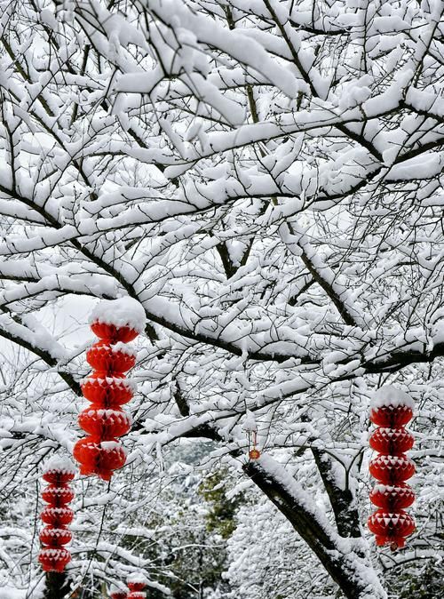 瑞雪兆丰年的意思